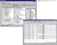 sumitem_07.gif