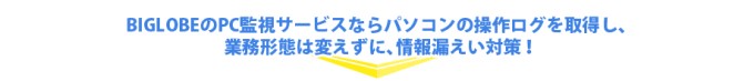 nec13.gif