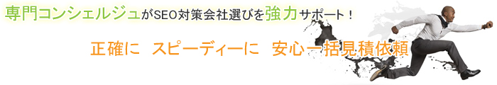 検索エンジン最適化ともいわれ、SEOを行うことで自社サイトを検索結果の上位へ表示させるサービスのこと